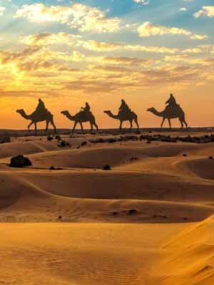 Things To Do In Jaisalmer