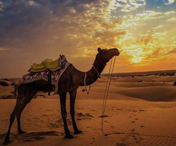 Jaisalmer Desert Camps